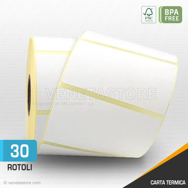 Rotoli Etichette Adesive 100 x 100 in carta Termica - 30 Rotoli da 500 Etichette